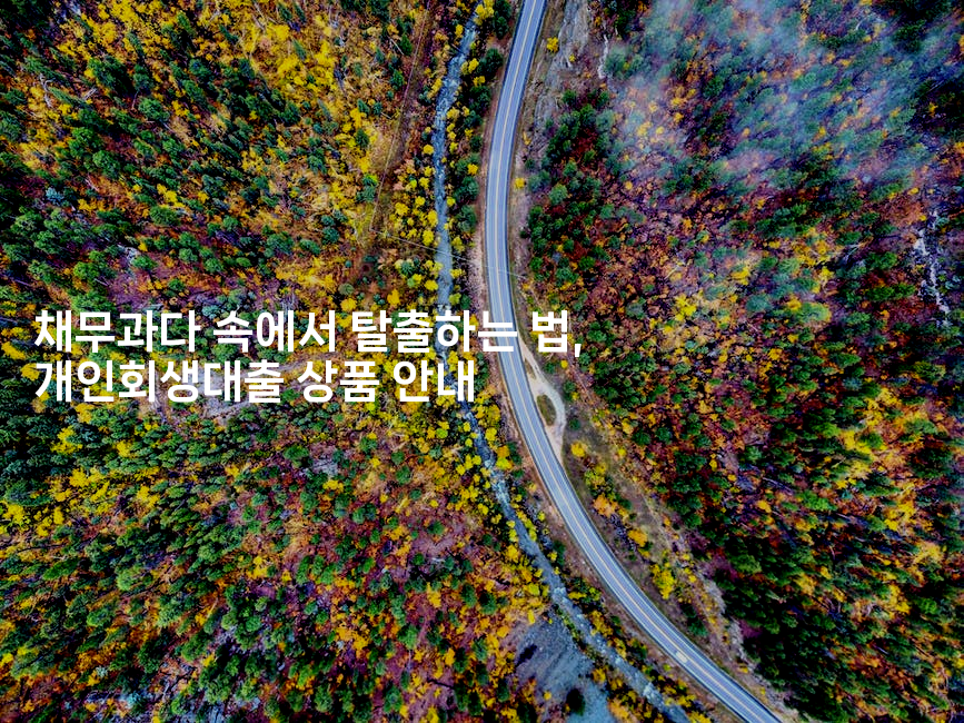 채무과다 속에서 탈출하는 법, 개인회생대출 상품 안내