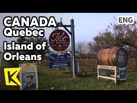【K】Canada Travel-Quebec[캐나다 여행-퀘벡]퀘벡의 부엌, 오를레앙 섬/Island Orleans/Bacchus/Vine