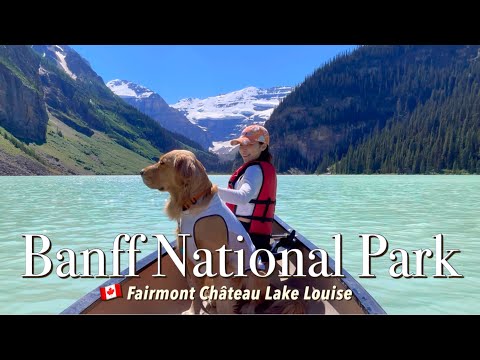 🇨🇦 My DOG travels to a WORLD WONDER BANFF National Park | Fairmont Lake Louise | Moraine Lake