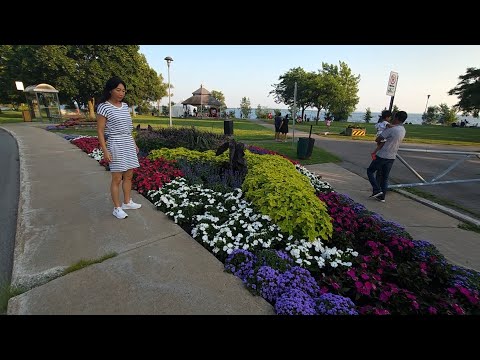 2024년 캐나다 여행 (Canada trip)  3.파인 비취 공원 (Pine Beach Park)