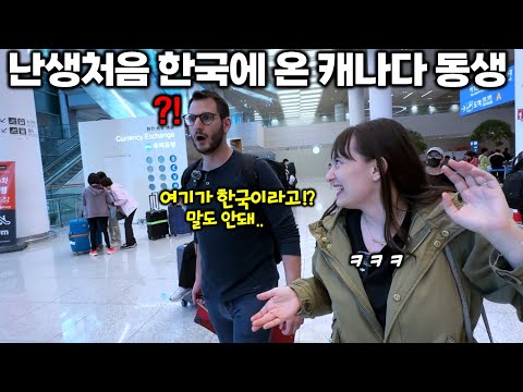 꿈에 그리던 한국 도착! 난생처음 한국에 온 캐나다 동생이 도착하자마자 충격받은 이유 ㅋㅋ 인생 첫 한국 여행