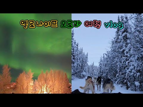 캐나다 옐로나이프 오로라 뷰잉&개썰매 타보기! #yellowknife #northernlights #옐로나이프 #vlog64