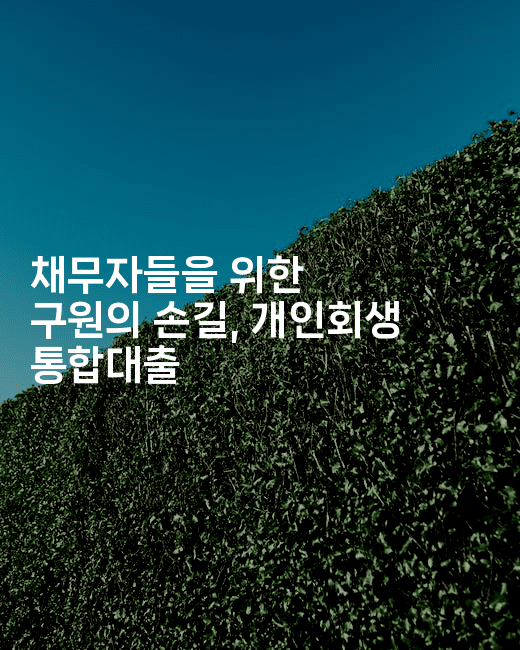 채무자들을 위한 구원의 손길, 개인회생 통합대출-짜릿캐나다