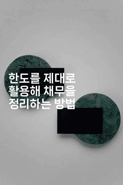 한도를 제대로 활용해 채무을 정리하는 방법-짜릿캐나다